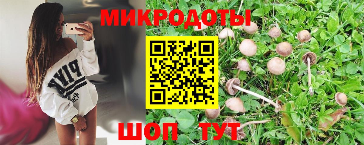 Галлюциногенные грибы мухоморы Коломна