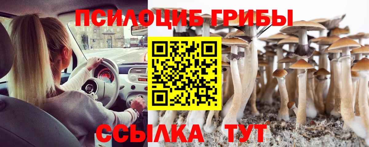 Коломна  Галлюциногенные грибы прущие грибы  Вход с VPN 